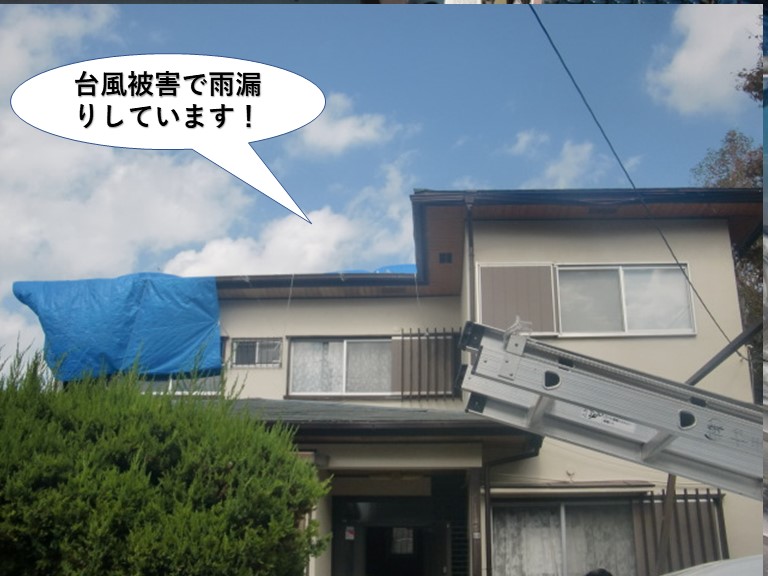 和泉市の住宅で台風被害で雨漏り発生