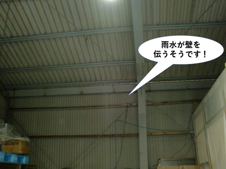 岸和田市の倉庫で雨水が壁を伝うそうです