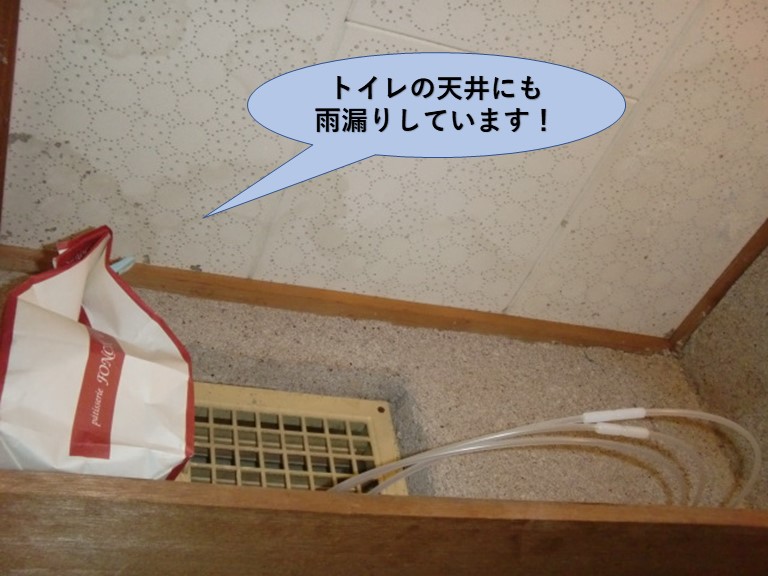 岸和田市の一階のトイレの天井にも雨漏りしています