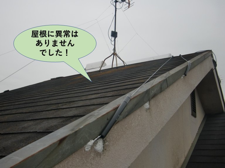 熊取町の屋根に異常はありませんでした