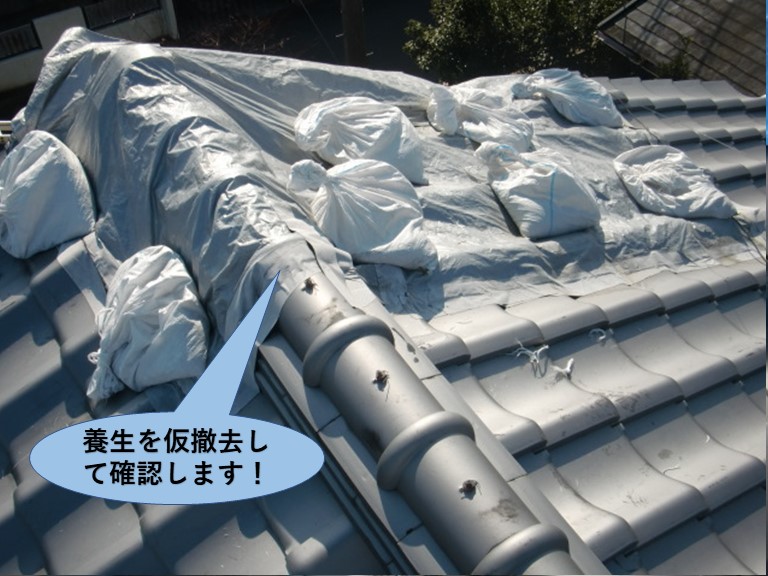 岸和田市の屋根の養生を仮撤去して確認します