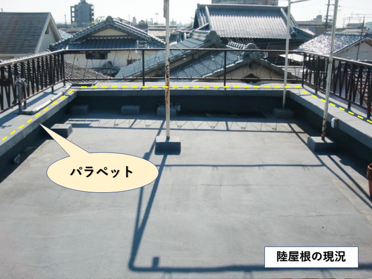 岸和田市の陸屋根の現況