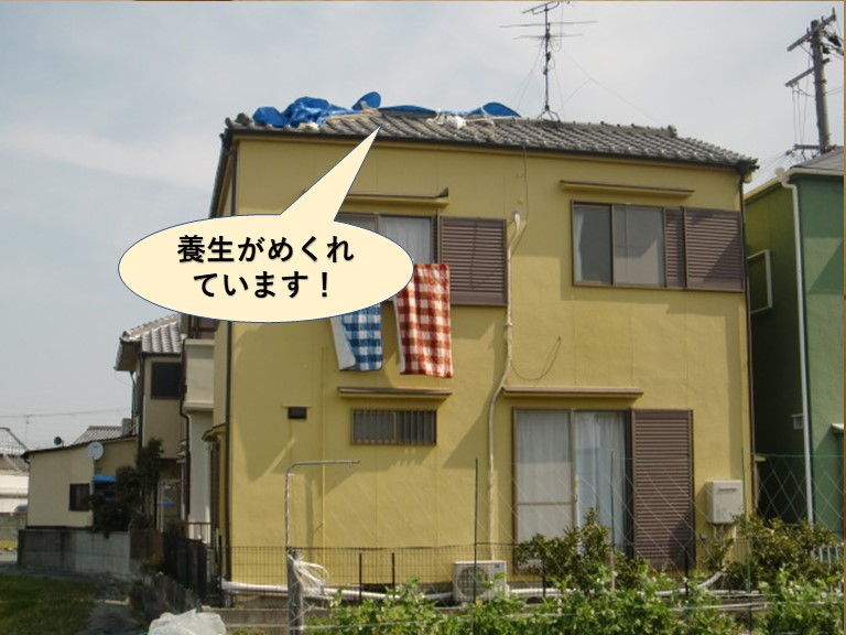岸和田市の屋根の養生がめくれています
