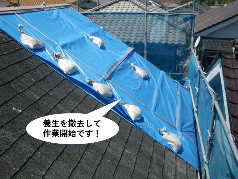 熊取町の屋根の養生を撤去して作業開始