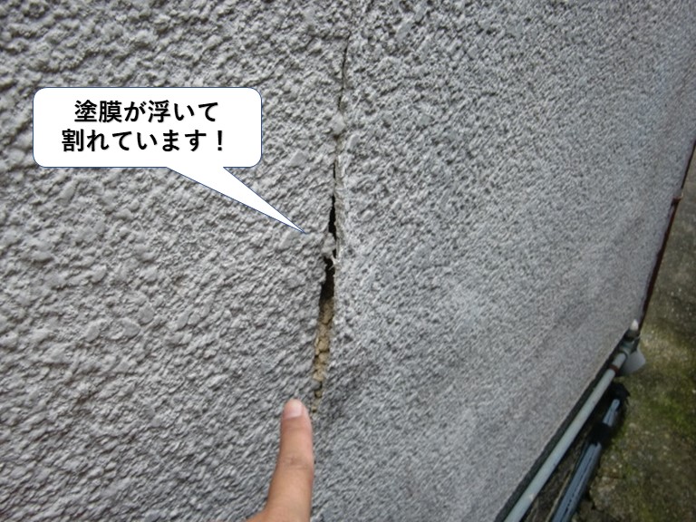 和泉市の外壁の塗膜が浮いて割れています
