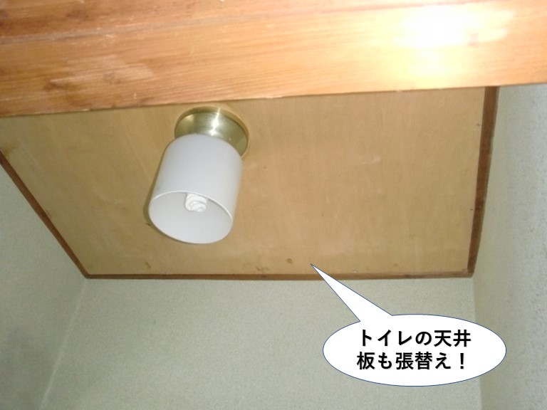 岸和田市のトイレの天井板も張替