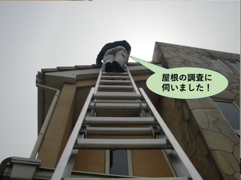 泉佐野市の屋根の調査に伺いました