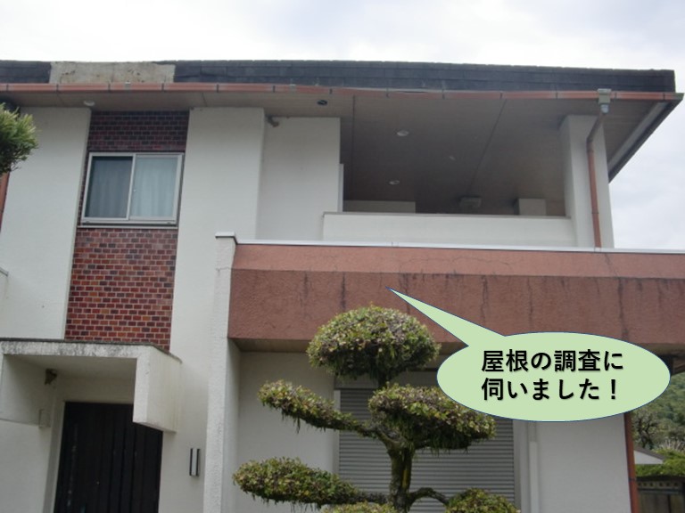 岸和田市の屋根の調査に伺いました