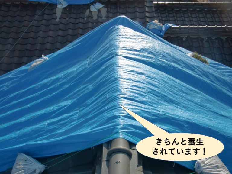 熊取町の屋根をきちんと養生されています