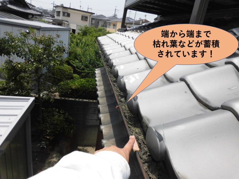 岸和田市の軒樋が端から端まで枯れ葉などが詰まっています