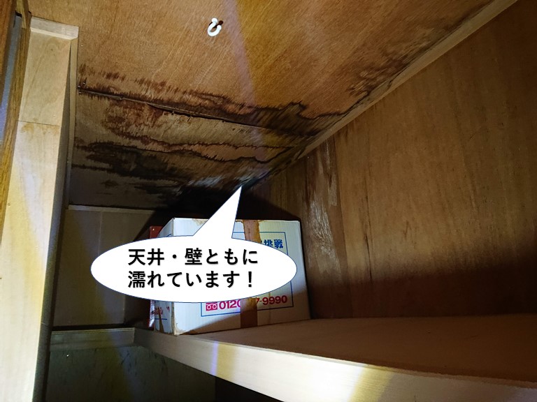 和泉市の天井と壁が塗れています