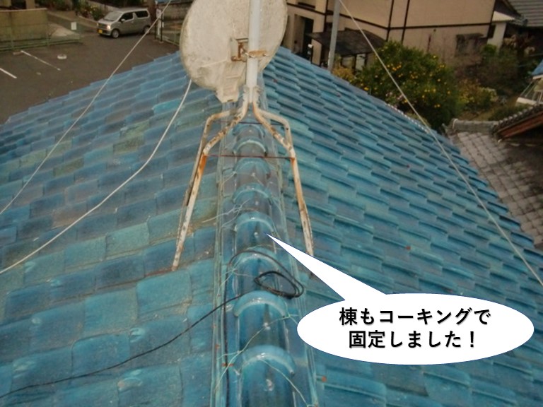 岸和田市の棟もコーキングで固定しました