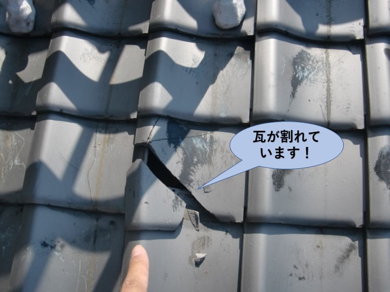 泉大津市の下屋の瓦が割れています