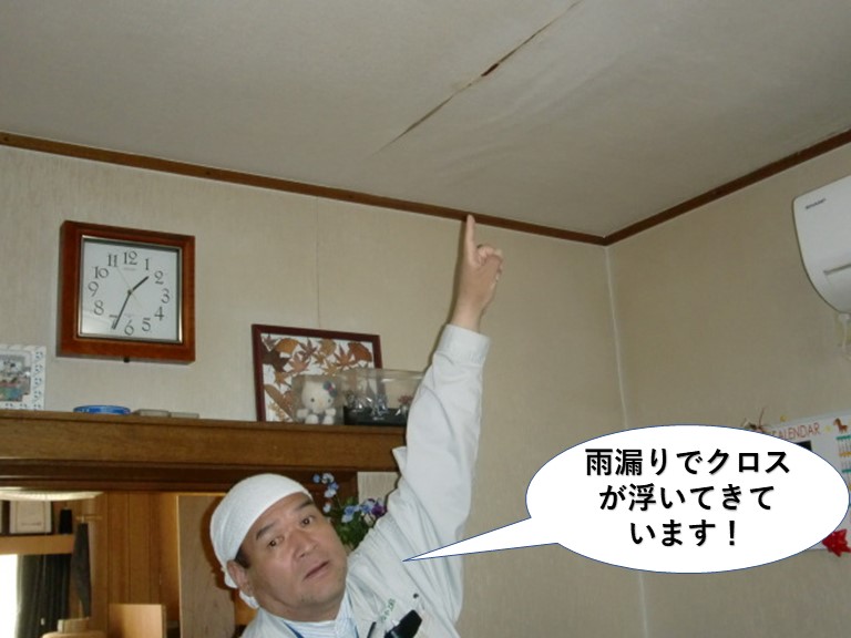 岸和田市の1階のお部屋の天井が雨漏りでクロスが浮いてきています！