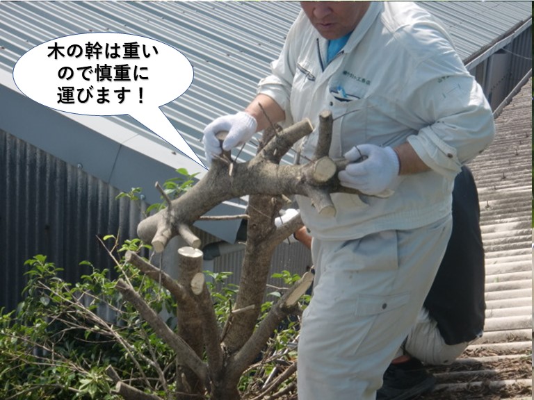 岸和田市の木の幹は重いので慎重に運びます