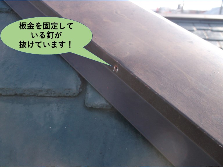 阪南市の板金を固定している釘が抜けています！