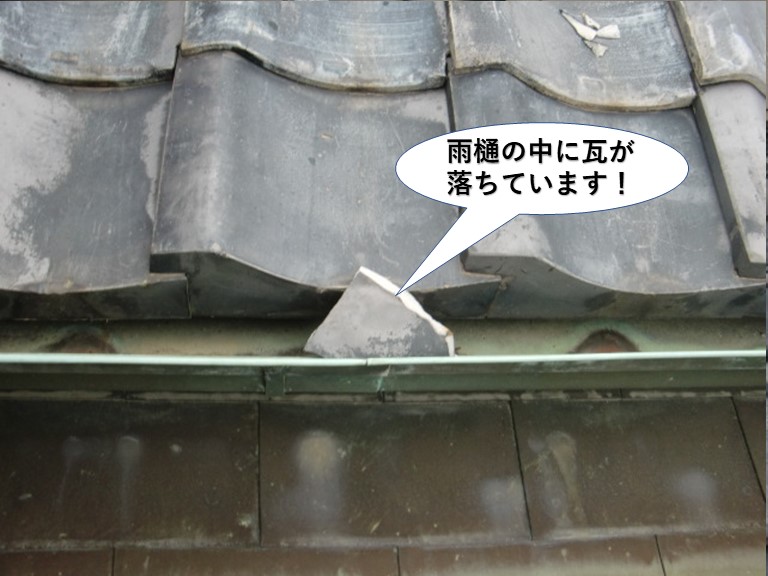 熊取町の雨樋の中に瓦が落ちています