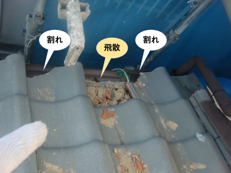 和泉市の下屋の被害