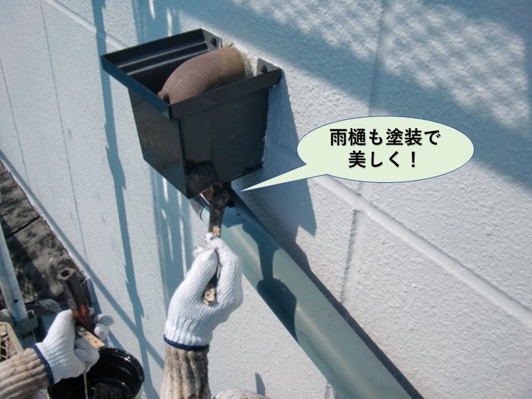 岸和田市の雨樋も塗装で美しく