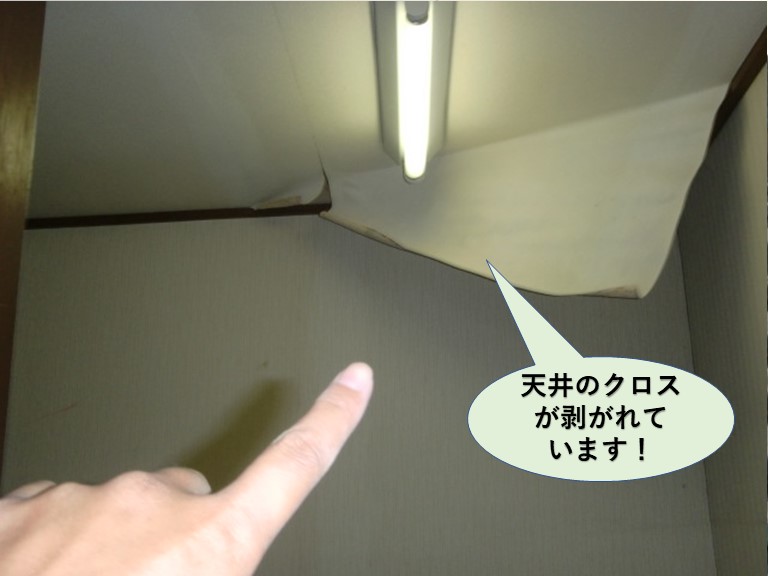 和泉市の天井のクロスが剥がれています