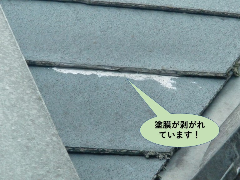 和泉市の屋根の塗膜が剥がれています
