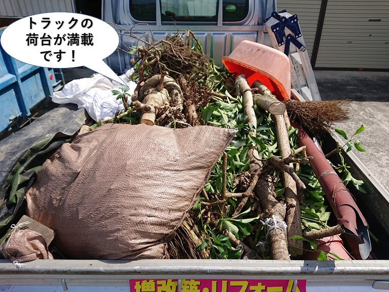 岸和田市で植木を伐採しトラックの荷台が満載です