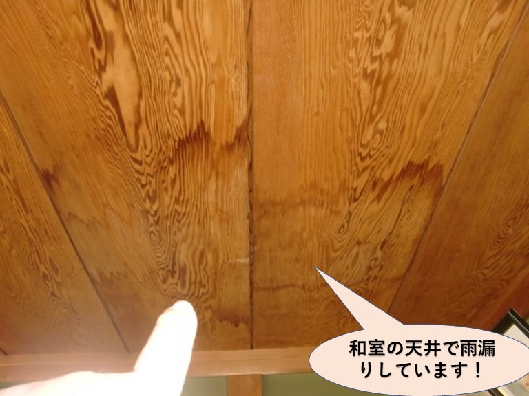 岸和田市の和室の天井で雨漏りしています