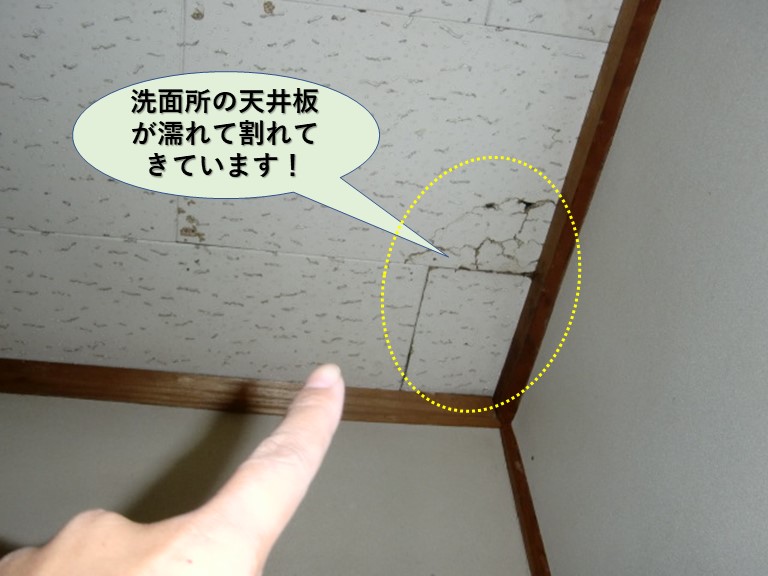 岸和田市の洗面所の天井板が濡れています