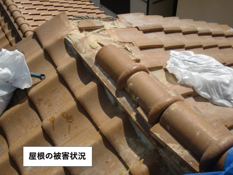 和泉市の屋根の被害状況