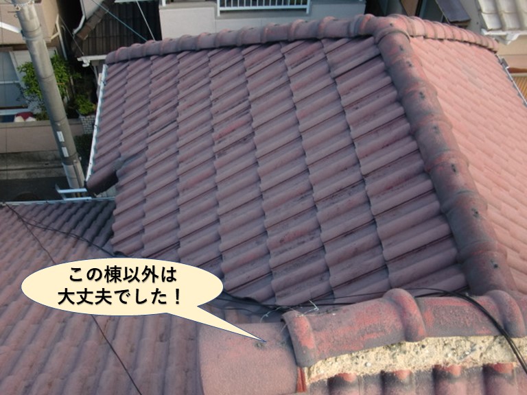 忠岡町の屋根の被害状況