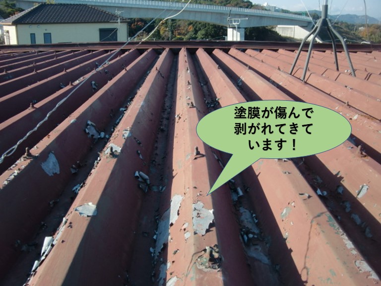 泉南郡岬町の折板屋根の塗膜が剥がれてボロボロになっています