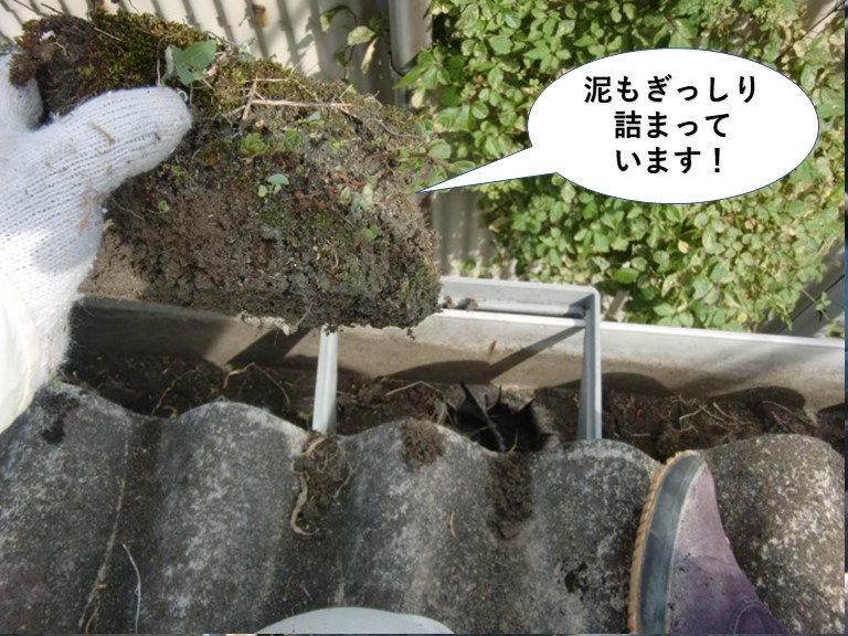 岸和田市の雨樋の中に泥もぎっしり詰まっています