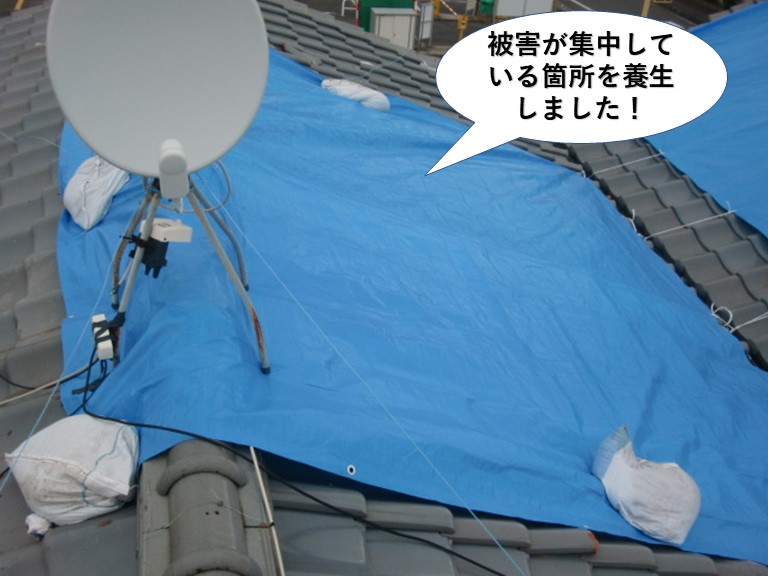 和泉市の屋根の被害が集中している箇所を養生しました