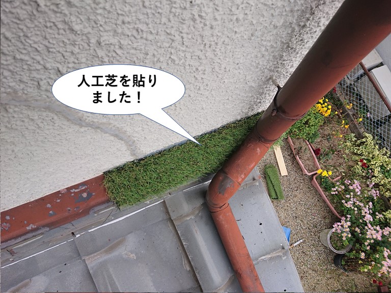 泉佐野市の壁際水切りの上に人工芝を張りました