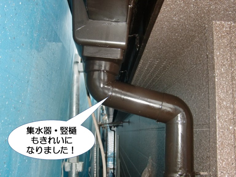 和泉市の集水器・竪樋も塗装