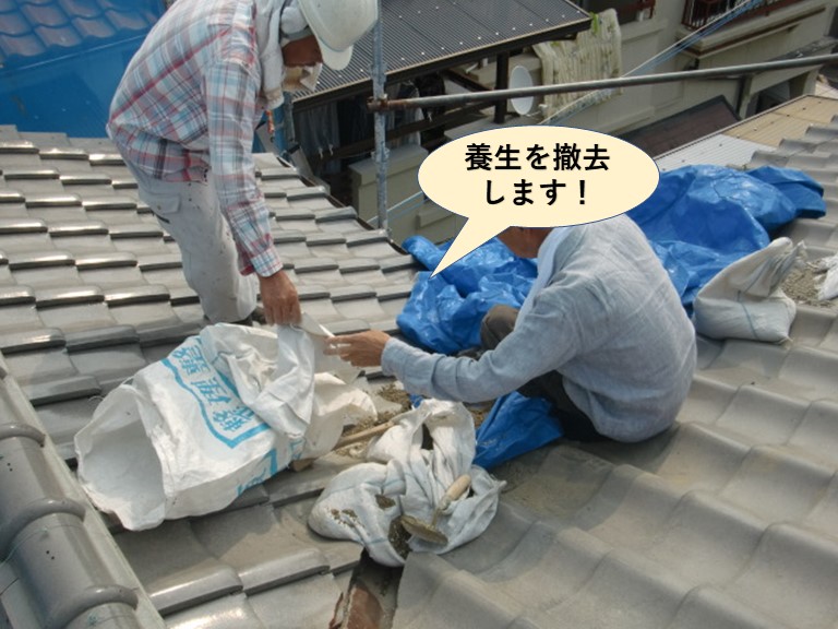 岸和田市の屋根の養生を撤去します