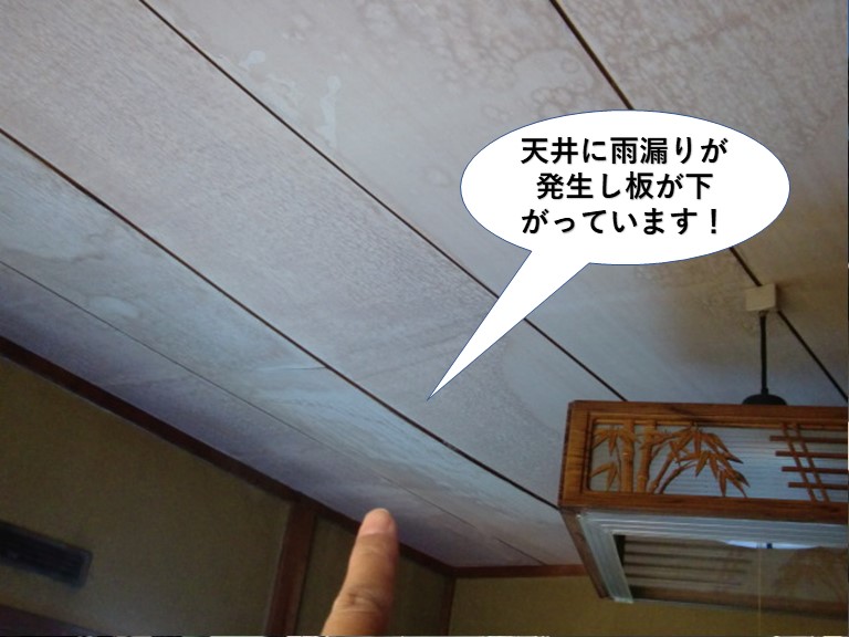 貝塚市の和室の天井に雨漏りが発生し天井板が下がっています