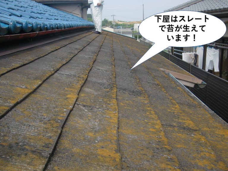 岸和田市の下屋はスレートで苔が生えています