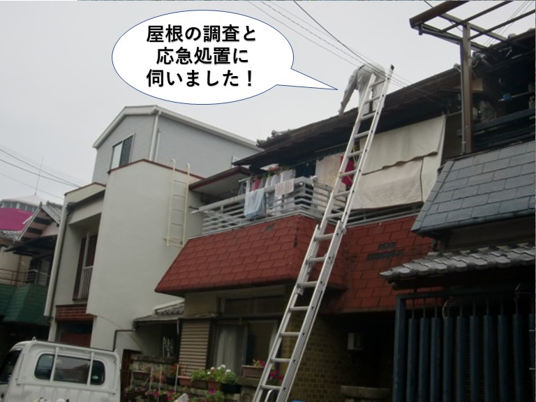 和泉市の屋根の調査と応急処置