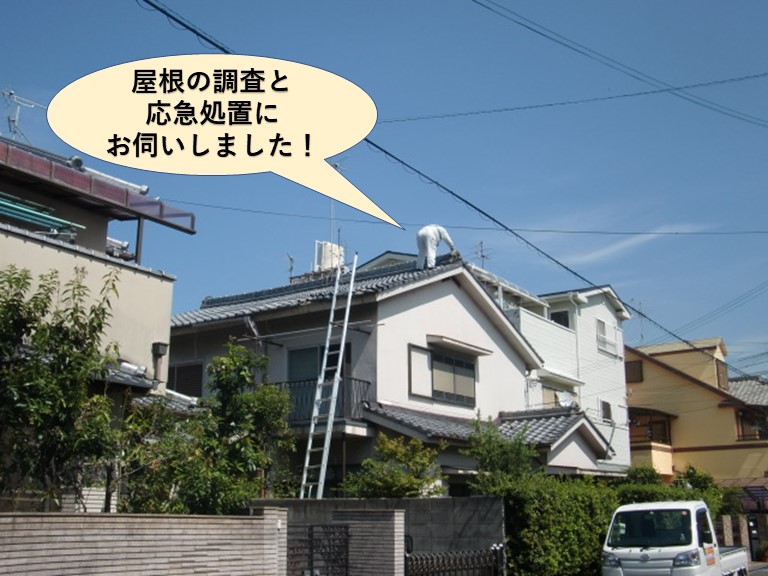 岸和田市の屋根の調査と応急処置