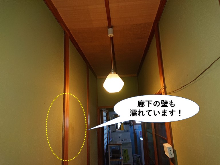 岸和田市の廊下の壁も濡れています