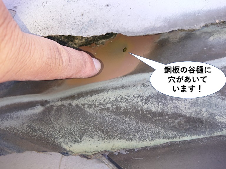 貝塚市の銅板の谷樋に穴があいています