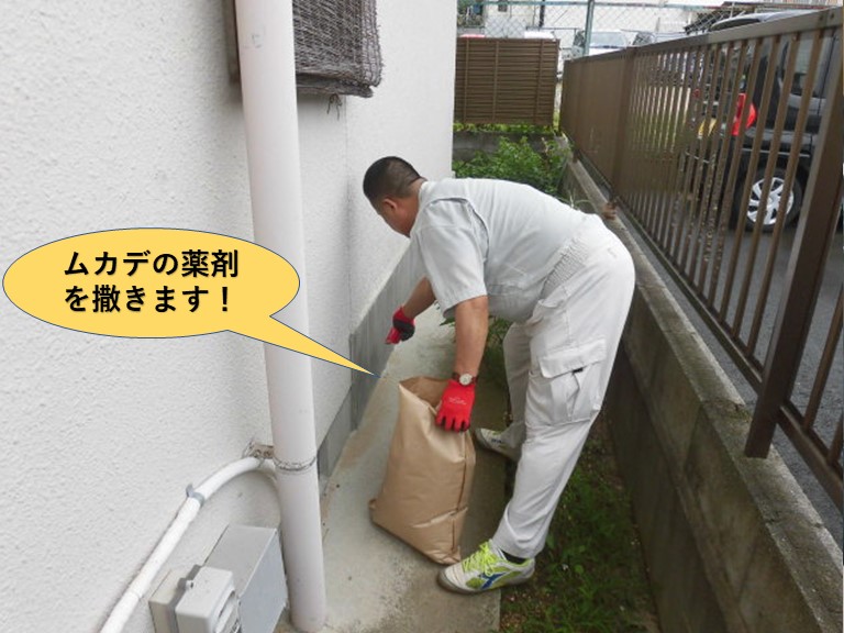 岸和田市の家の周りにムカデの薬剤を撒きます