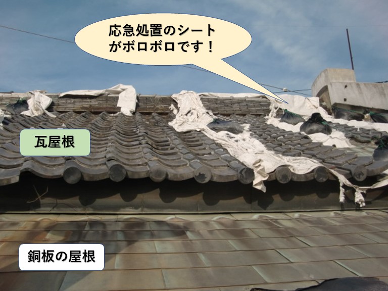 岸和田市の銅板の屋根と瓦屋根