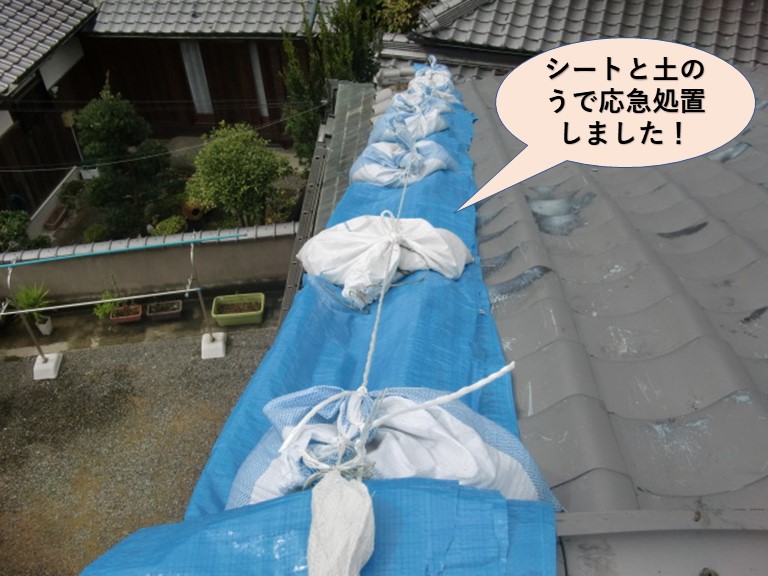 岸和田市の屋根をシートと土のうで応急処置