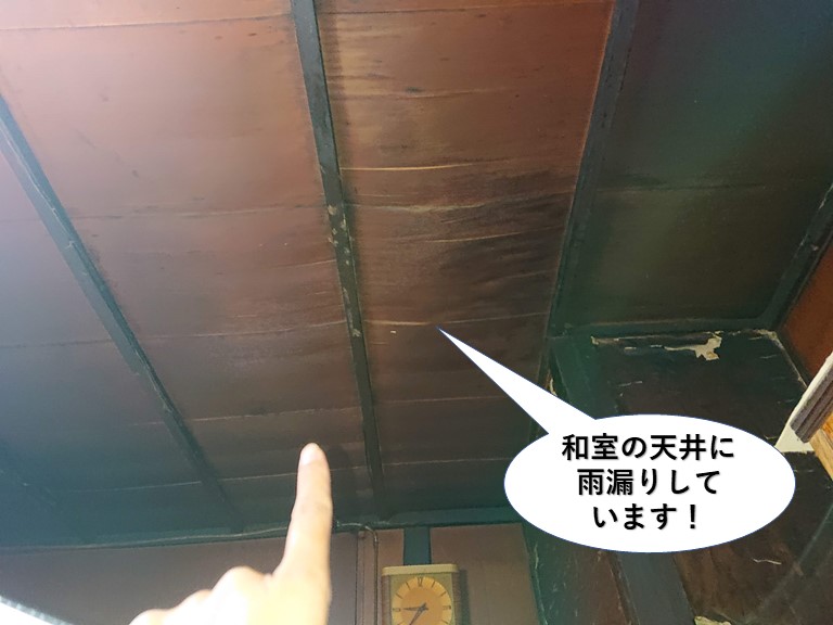 熊取町の和室の天井に雨漏り