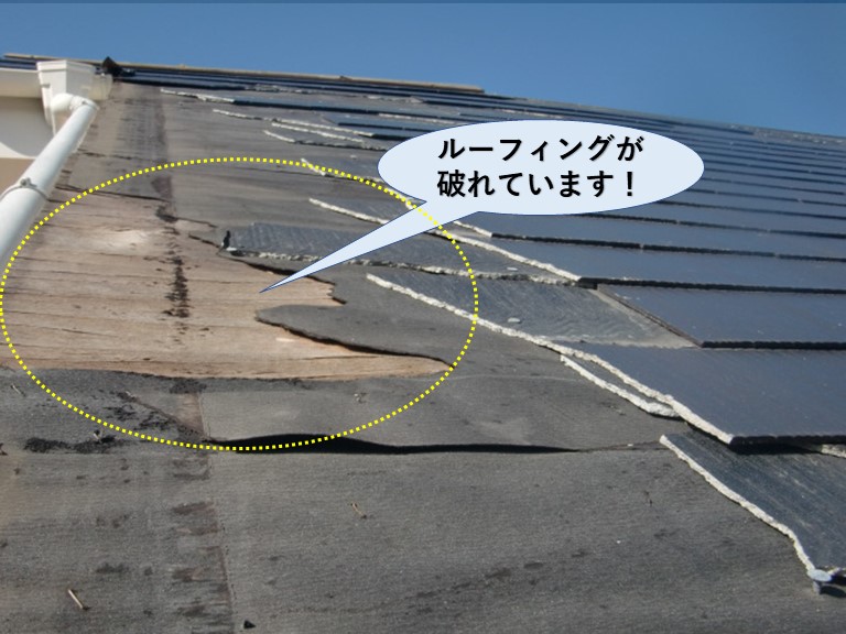 岸和田市の屋根のルーフィングが破れています