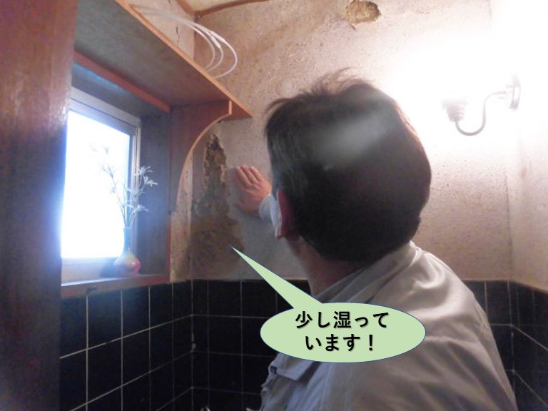 岸和田市のトイレの壁が少し湿っています！