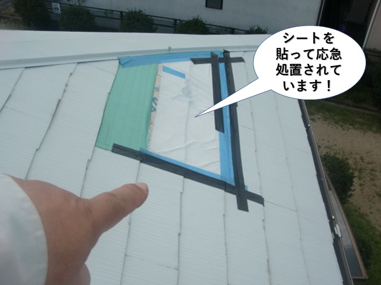 泉南市の屋根にシートを貼って応急処置されています