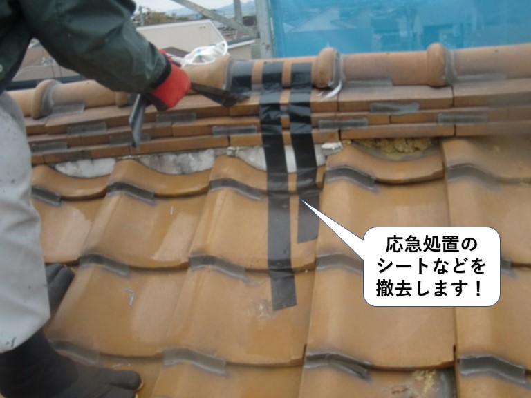 泉大津市の屋根の応急処置のシートなどを撤去します